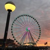 Image 3: Explore Seattle by Night with a Guided Tour for One Adult or One Child