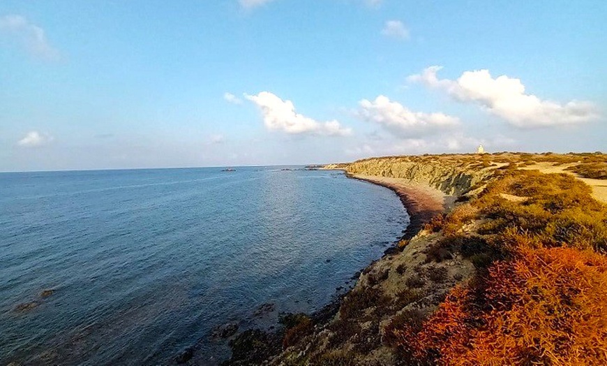 Image 9: Barco taxi Santa Pola - Tabarca