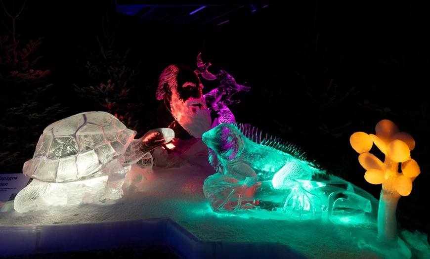 Image 8: Stap in de bevroren magie van het IJsbeeldenfestival 2026