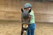 Join 1 or 4 Private Horseback Lessons For Adults or Children Ages 4 and Up at Krussell Stables (Up to 25%Off) - Second Medium