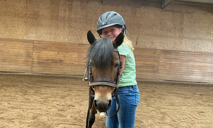 Image 3: Join 1 or 4 Private Horseback Lessons For Adults or Children