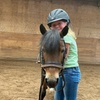 Image 3: Join 1 or 4 Private Horseback Lessons For Adults or Children