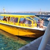 Image 7: Barco taxi Santa Pola - Tabarca