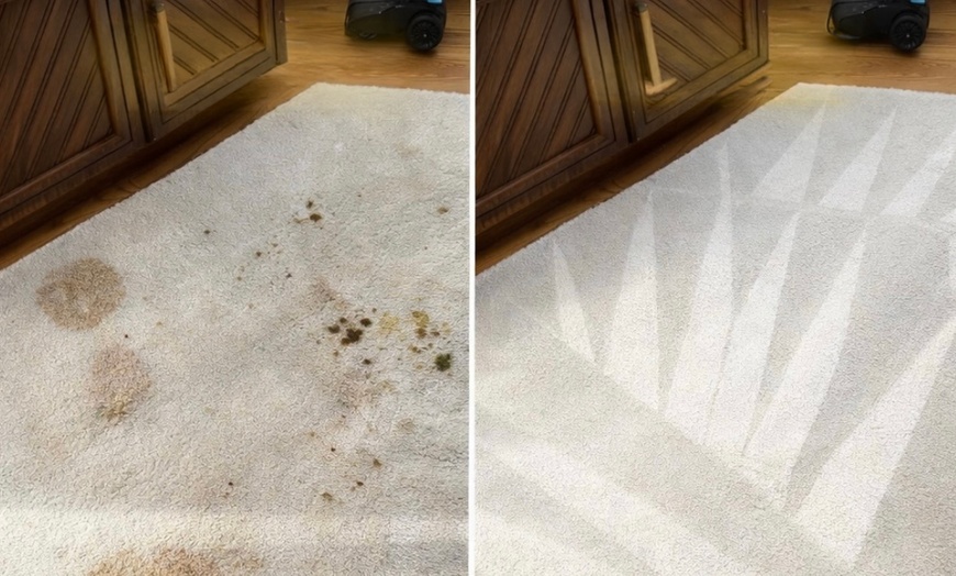 Image 2: Carpet Cleaning for Two, Three, Four or Five or Upholstery/ Pet Spot 