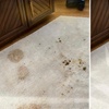 Image 2: Carpet Cleaning for Two, Three, Four or Five or Upholstery/ Pet Spot 