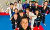 Save Up to 80% Off on Adults JiuJitsu, or Kids JiuJitsu One Month Unlimited Classes at SHC BJJ NOVA