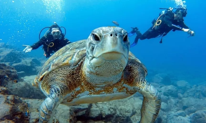 Bautismo o inmersión con opción de reportaje fotográfico