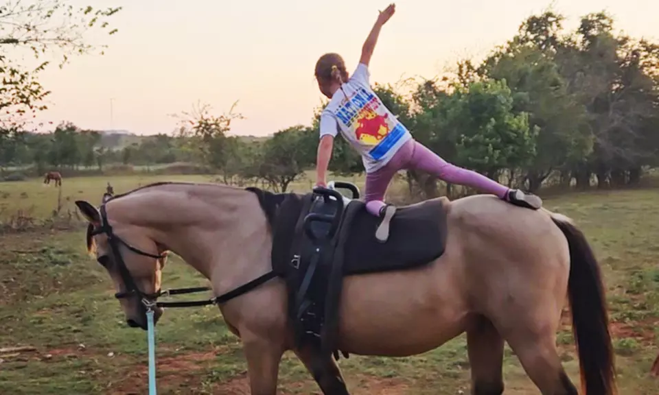 Enjoy Horse Vaulting Lessons or Gymnastics On Horseback