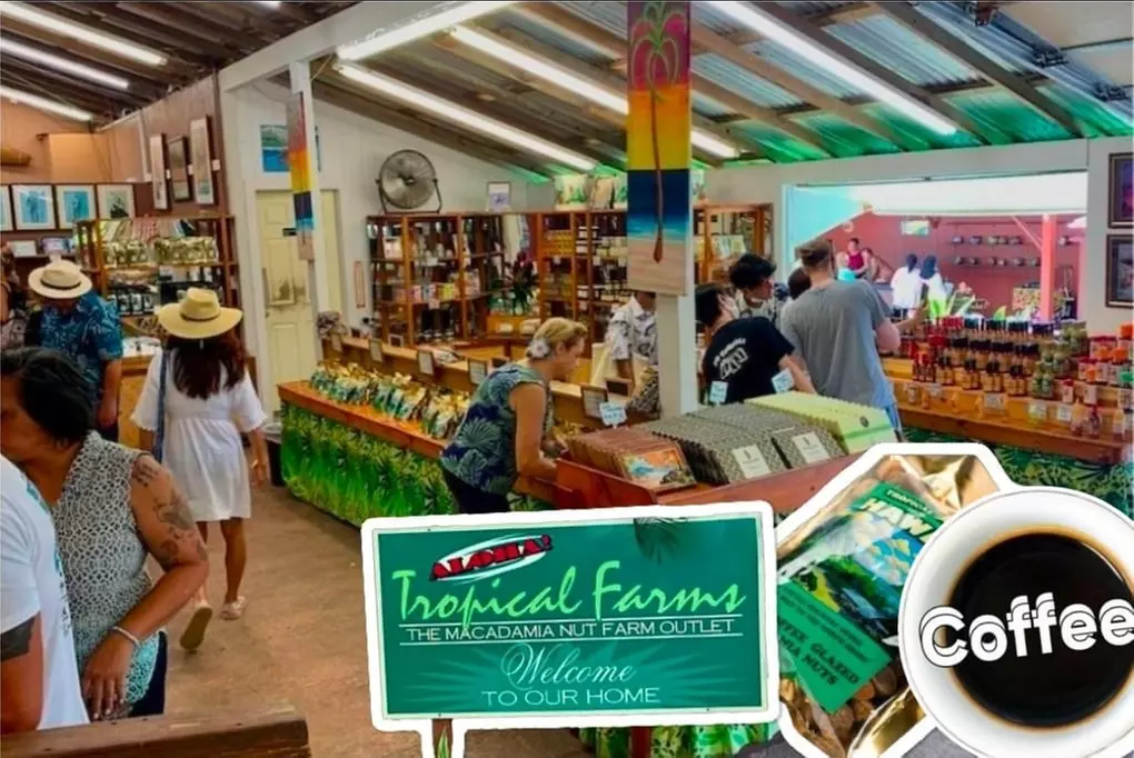 Up to 55% Off Oahu Full-Day Island Tour - Aloha Fantasy Tours