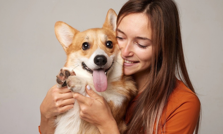 Image 2: 60 Min. Fotoshooting mit 1, 2, 3 oder 5 Bildern, opt. inkl. Video
