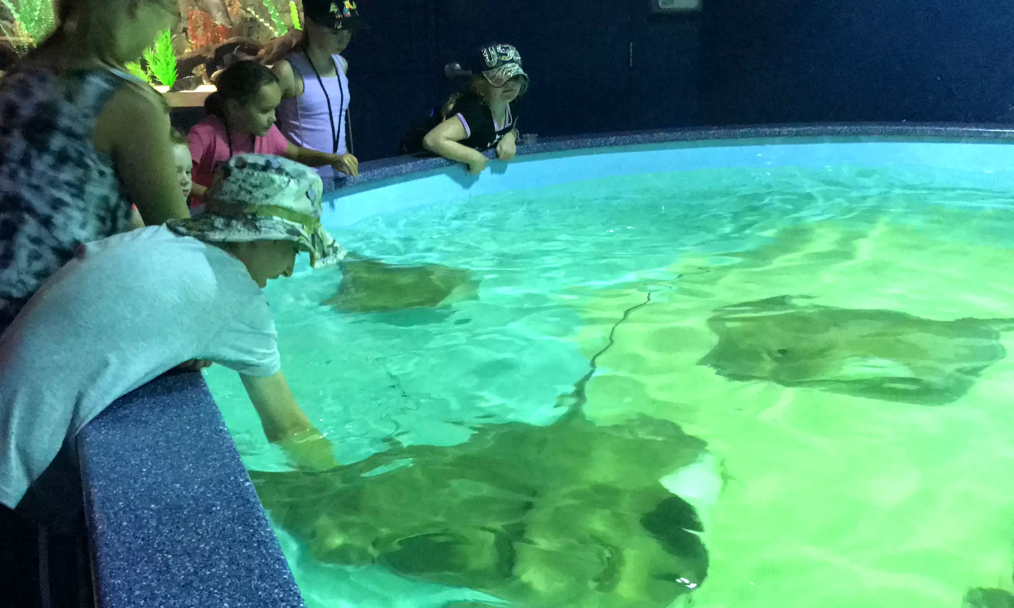 Admission to Wildlife World Zoo, Aquarium, & Safari Park