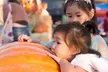 Enjoy Fall Traditions, Activities & More with Admission for Adults & Kids to Speer Family Farm (Up To 28% Off) - Second Medium