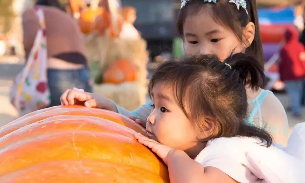 Enjoy Fall Traditions w/ Entry for Adults & Kids to Speer Family Farm