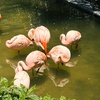 Image 17: Sunken Gardens Admission & Family Membership Deals (Up to 29% Off)