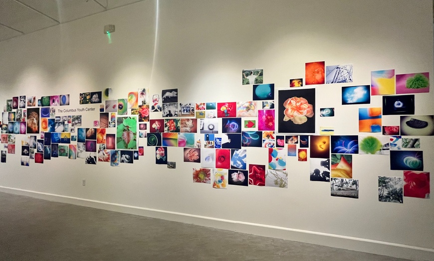 Image 5: Florida Museum of Photographic Arts Exhibitions