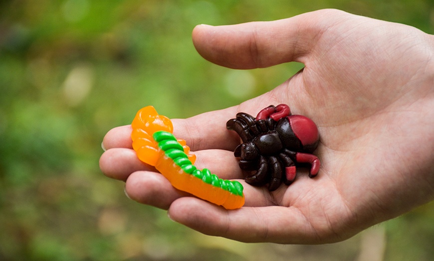 Image 4: Creepy Crawly Gummy Bug Game