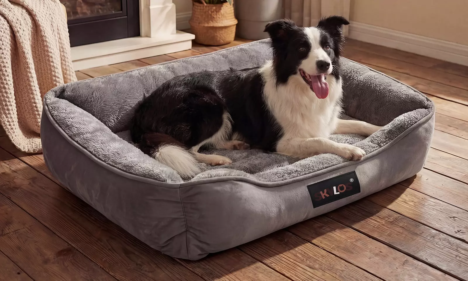 Skylos Orthopaedic and Coral Fleece Pet Beds
