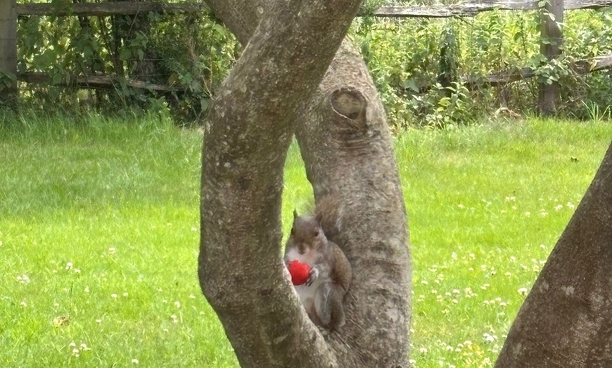 Image 12: Farm Day Admission for Up to 4 People – Ages 3 and Older Welcome