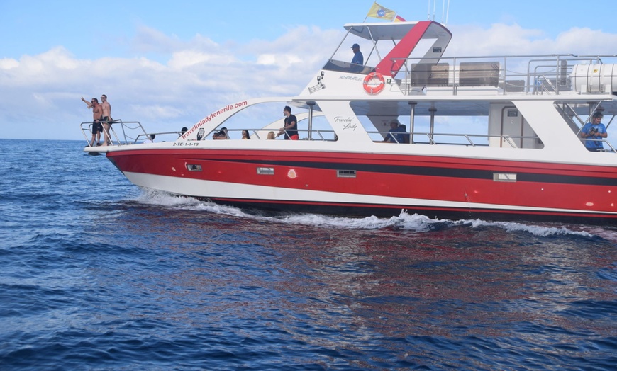 Image 9: Paseo en barco para avistamiento de cetáceos