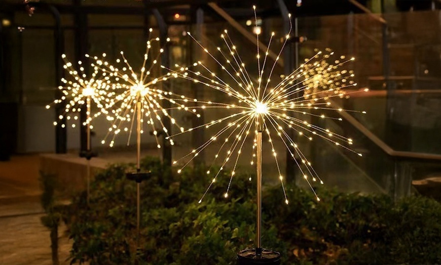Image 7: Packs of One, Two or Four Solar Dandelion Decorative Lights