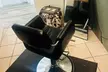 Women's Hair Services with Shampoo Haircut, Blow-Dry, or Highlights Up to 55% Off Haircut at Shear Karma - Second Medium