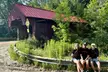 Waterfall and Cover Bridge Tour for 1 or 2 People at Savor Vermont Tours (Up to 34% Off) - Second Medium