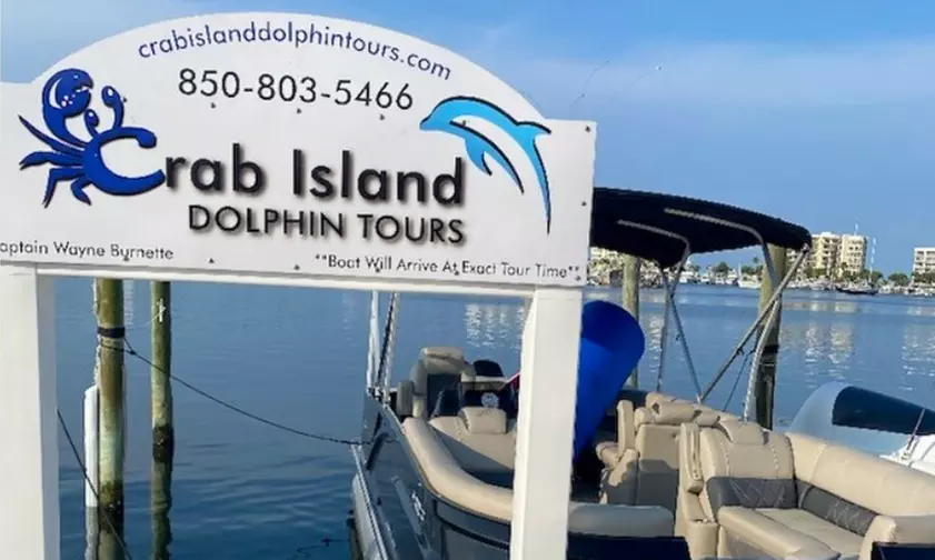 2 or 4-Hour Dolphin and Crab Island Cruise Or 2-Hour Sunset Cruise