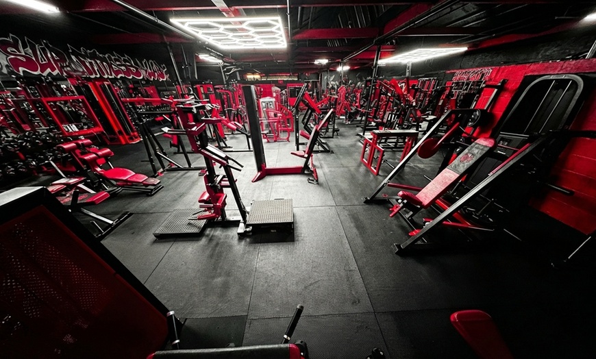 Image 4: One Month All-Access Gym Membership