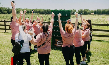 Tickets for a Bride & 3 Team Members - Bridal Wars