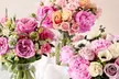 Next Day Delivery Breathtaking Fresh Flowers & Gifts from 1-800-Flowers.com (Up to 55% Off) - Second Medium