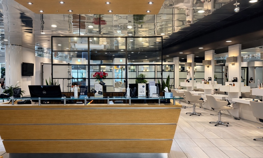 Image 4: Balayage Brazilian Blowout and More at Charles Ifergan Salon Oakbrook