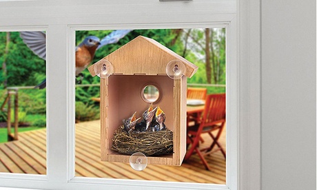 1 o 2 birdhouse per finestra