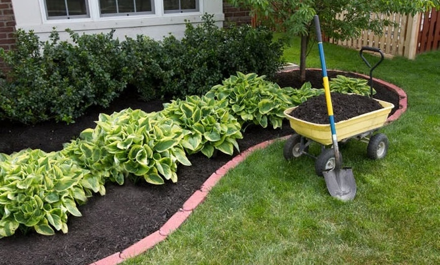 Image 2: Trial and Weekly Lawn Care Packages