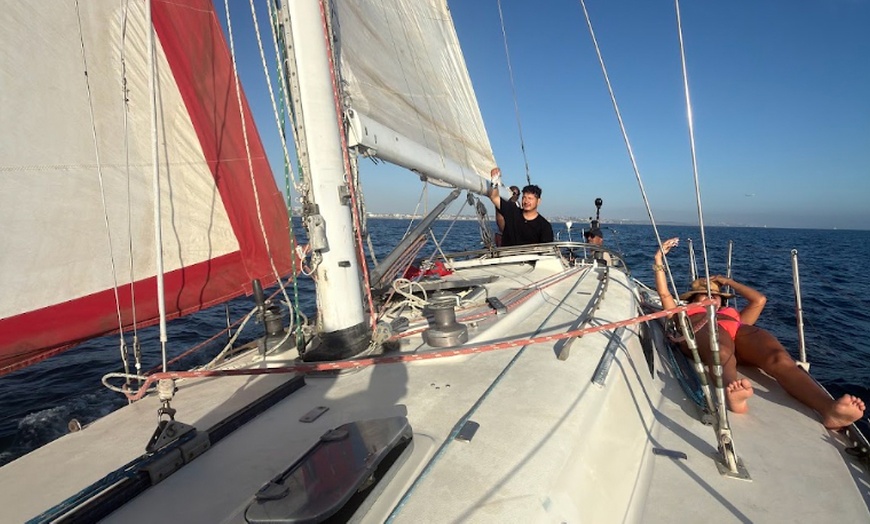 Image 4: Sailing Cruises for Up to 6 People