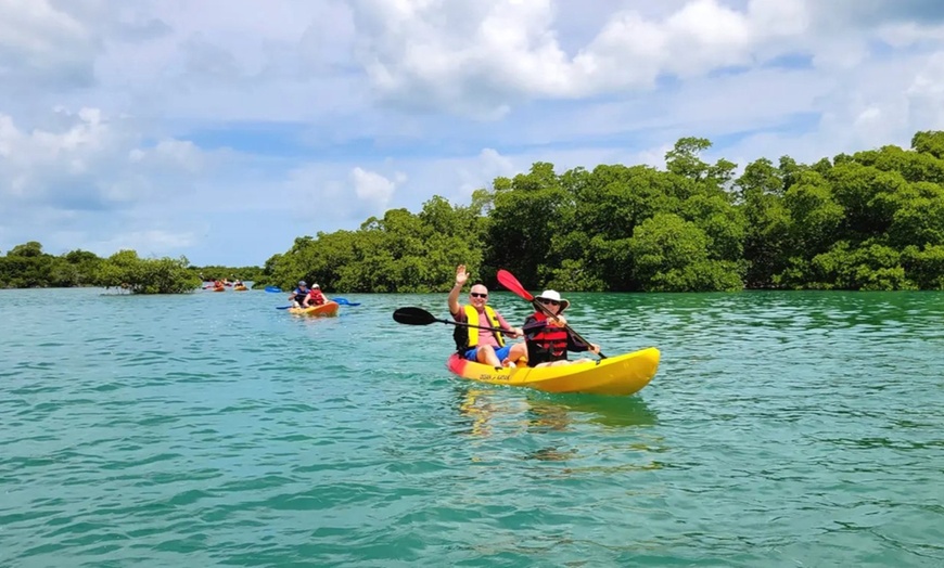 Image 2: Key West Kayak Tour