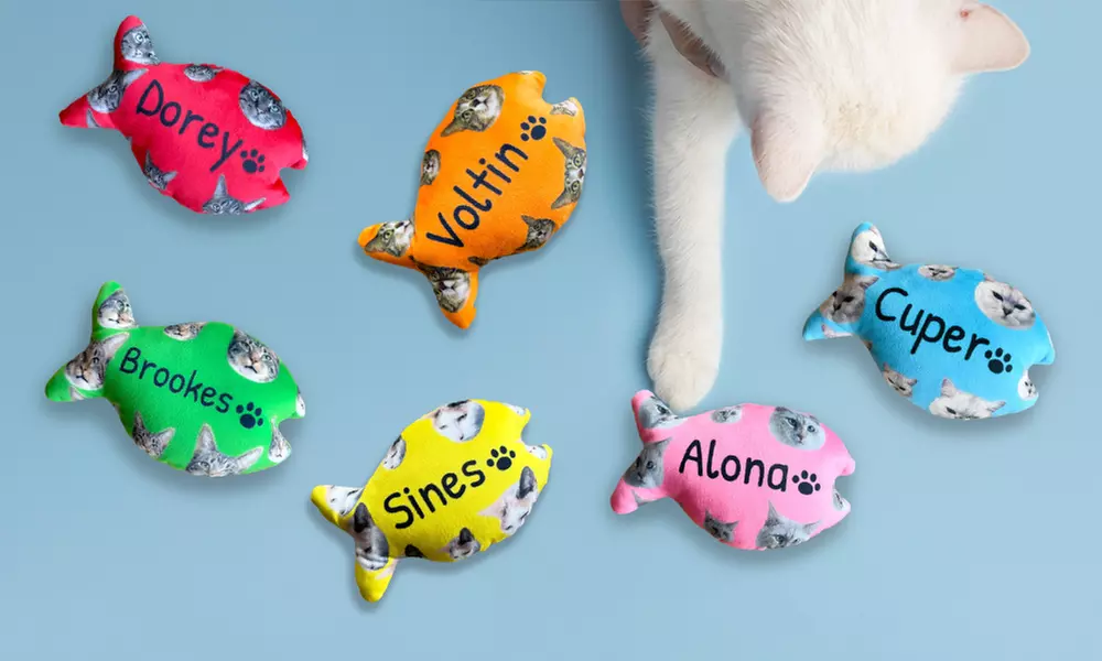 One or Two Custom Pet Toys - Custom Frisbees or Bones Available!