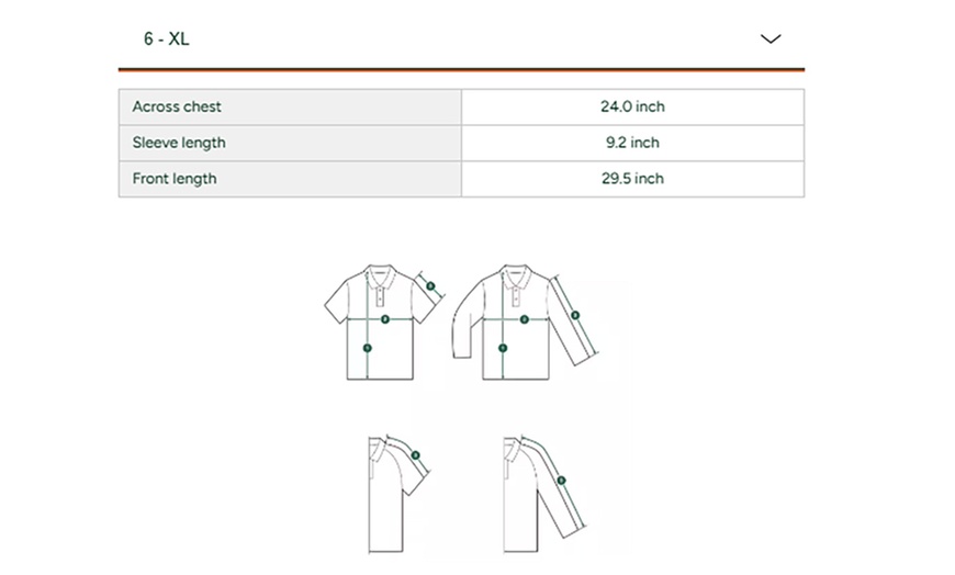 Image 16: Lacoste Polo Shirt Men's