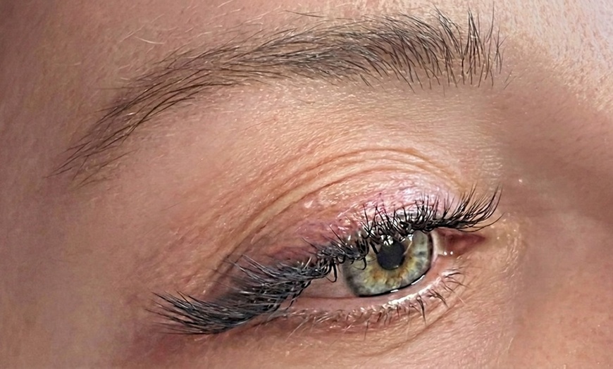 Image 2: Enhance Your Look with Volume Eyelash Extensions (2D–4D)