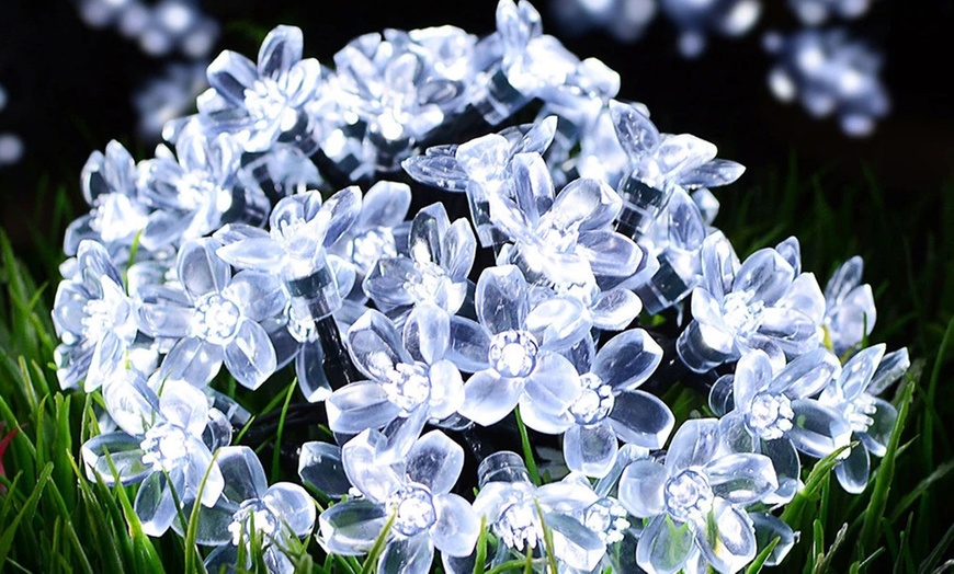 Image 9: 50 LED Multi-Coloured Solar Cherry Blossom Lights Options