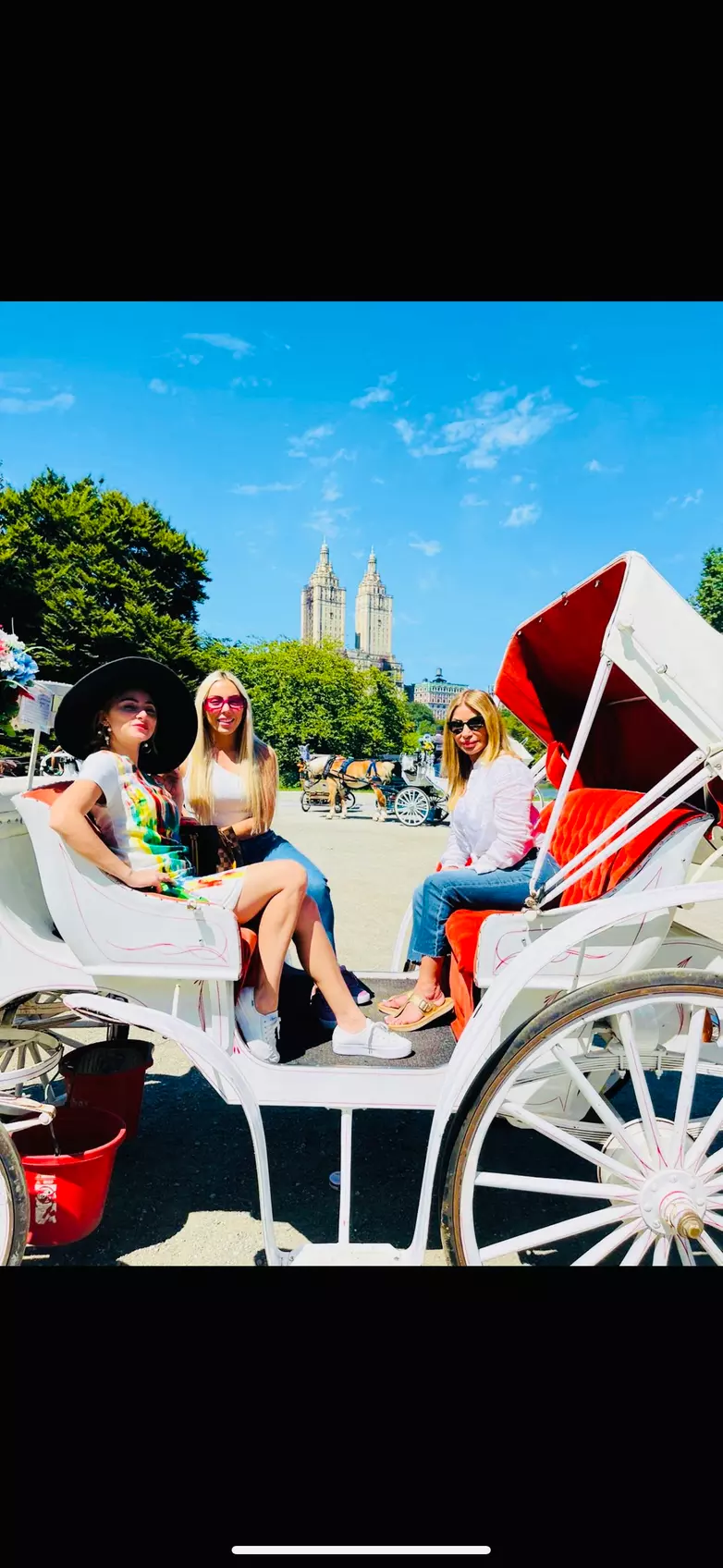 Explore Central Park in Style: 25-Min or 45-Min VIP Carriage Ride At Central Park Carriage Tours (Up to 15%Off) - Primary Image