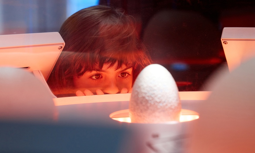 Image 13: Jurassic World Adventure: Child, Adult, and Family Tickets Available