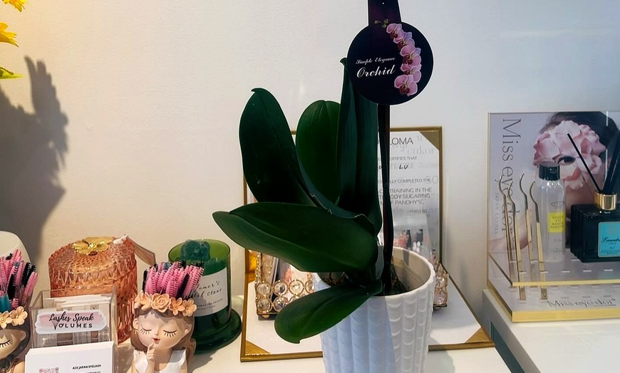 Image 6: Transform Your Look with Acejapan Lash Gel Tint