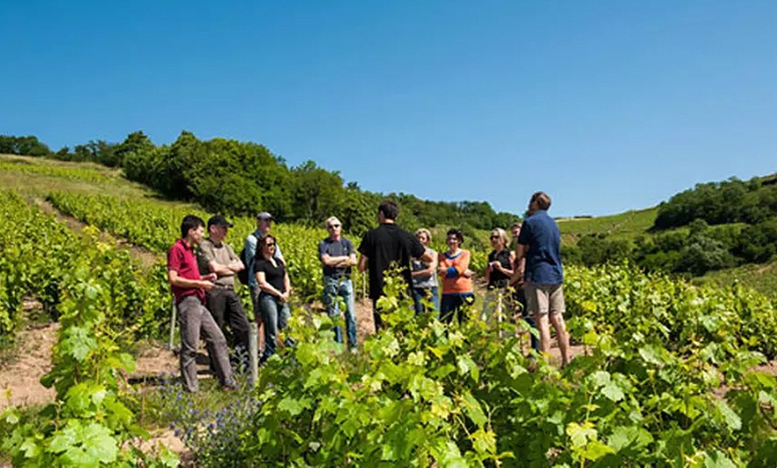 Image 1: Atelier œnologique pour 1 ou 2 personnes avec CHATEAU L'EVESQUE