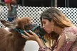 Petting Zoo and Pony Ride (Up to 28% Off) at Happi Farm - Second Medium