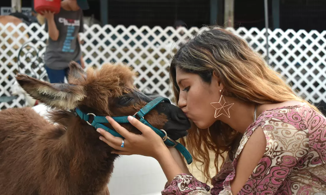 Zoo Entry with 5-Minute Pony Ride for Up to Four People