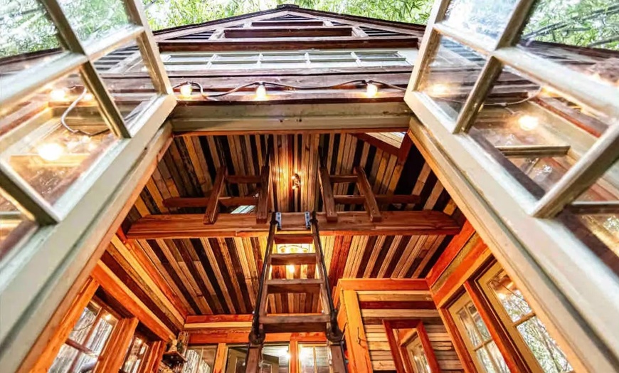 Image 7: Llama Yoga & Alpaca Encounters in Atlanta's Bamboo Forest