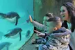 General Admission to Belfast Zoo For Child, Adult, or Family (Up to 42% Off) - Image 3