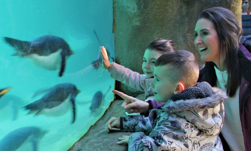 Image 3: General Admission to Belfast Zoo For Child, Adult, or Family 