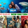 Image 1: Visit any 4 Top Attractions: Sea Life Sydney, Madame Tussauds & More