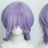 Image 4: Anime Cosplay Wig Hairs